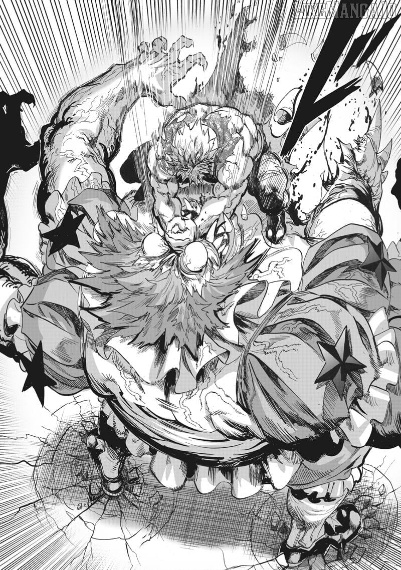 One-Punch Man, Chapter 217 image 13